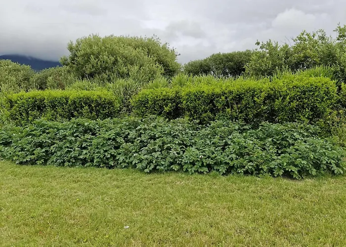 Rose - Sleeps 2 & Stunning Seaside Views Villa